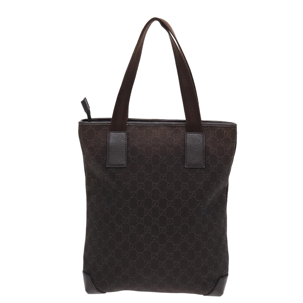 Gucci GG canvas