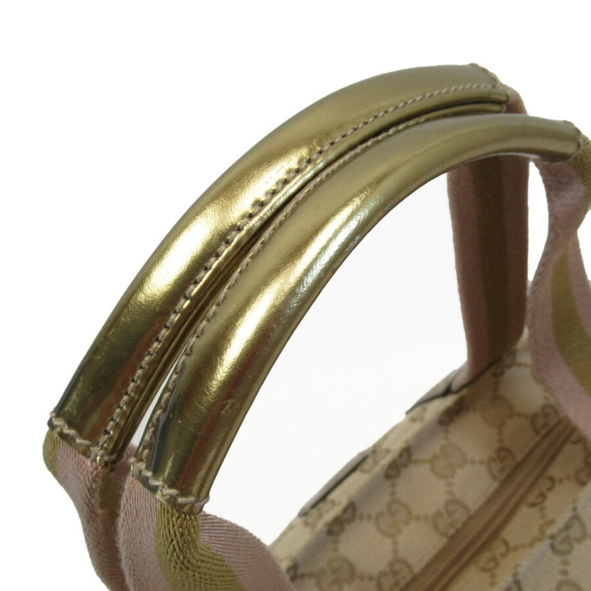 Gucci GG canvas