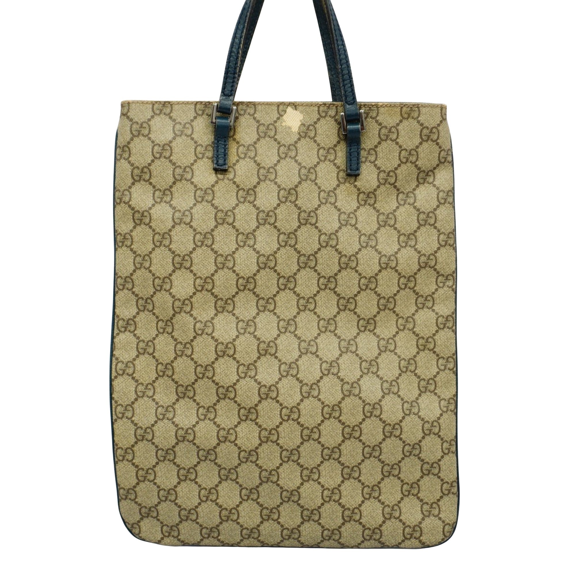 Gucci GG canvas