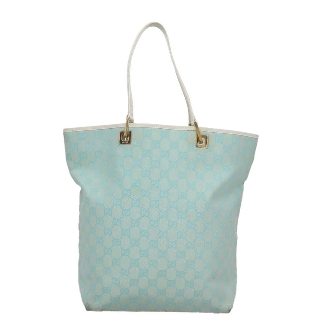 Gucci GG canvas