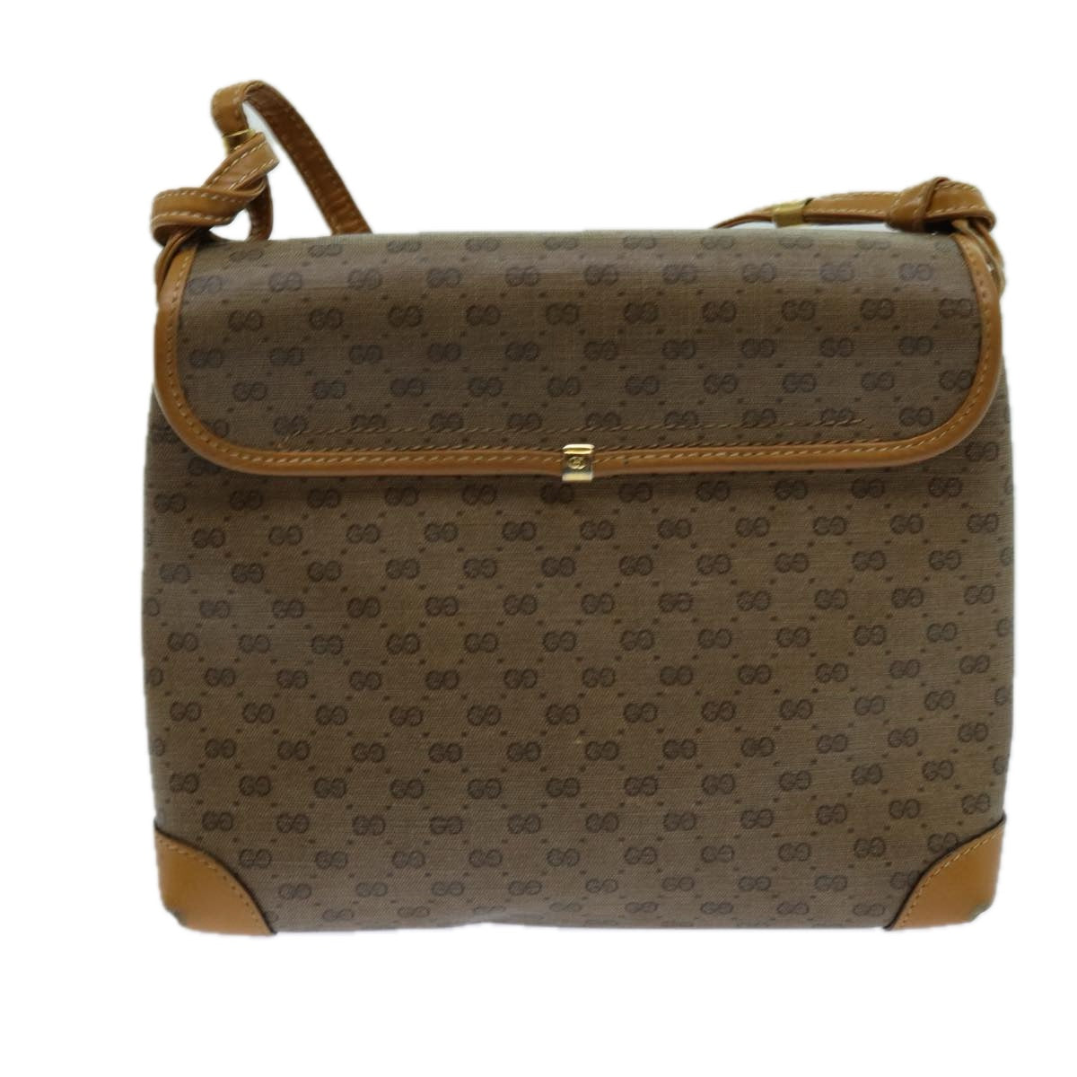 Gucci GG canvas