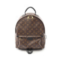 Louis Vuitton Palm Springs Monogram Coated Canvas Backpack