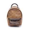 Louis Vuitton Palm Springs Monogram Mini Backpack