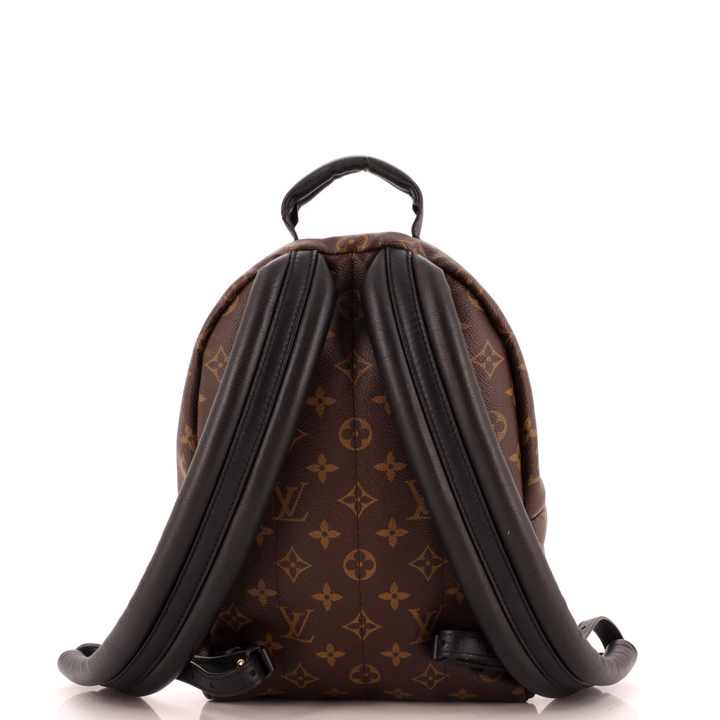 Louis Vuitton Palm Springs Backpack Monogram Canvas PM