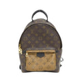 Louis Vuitton Palm Springs Monogram Backpack