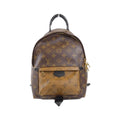 Louis Vuitton Palm Springs Monogram Reverse Backpack