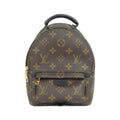 Louis Vuitton Palm Springs Monogram Backpack