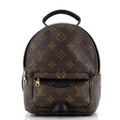 Louis Vuitton Palm Springs Backpack Monogram Canvas Mini