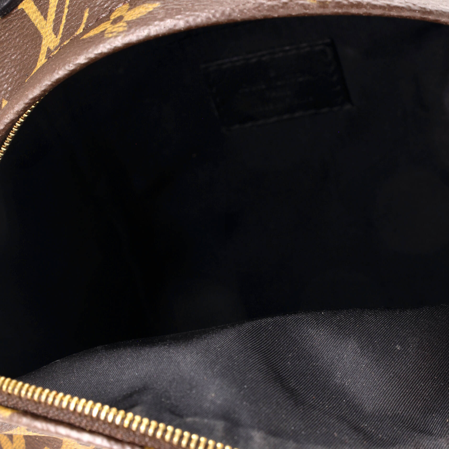 Louis Vuitton Palm Springs Backpack Monogram Canvas Mini