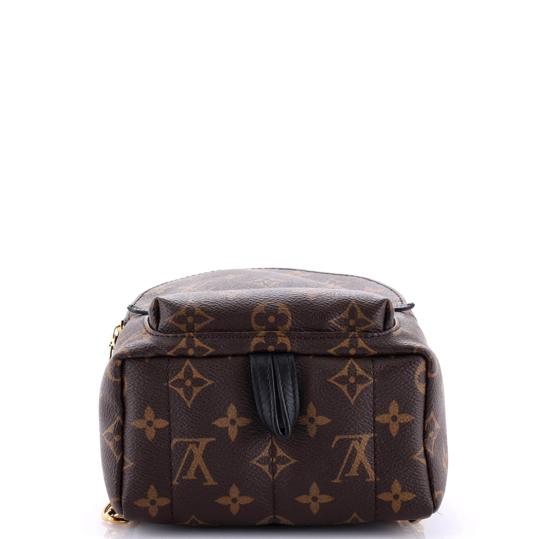 Louis Vuitton Palm Springs Backpack Monogram Canvas Mini