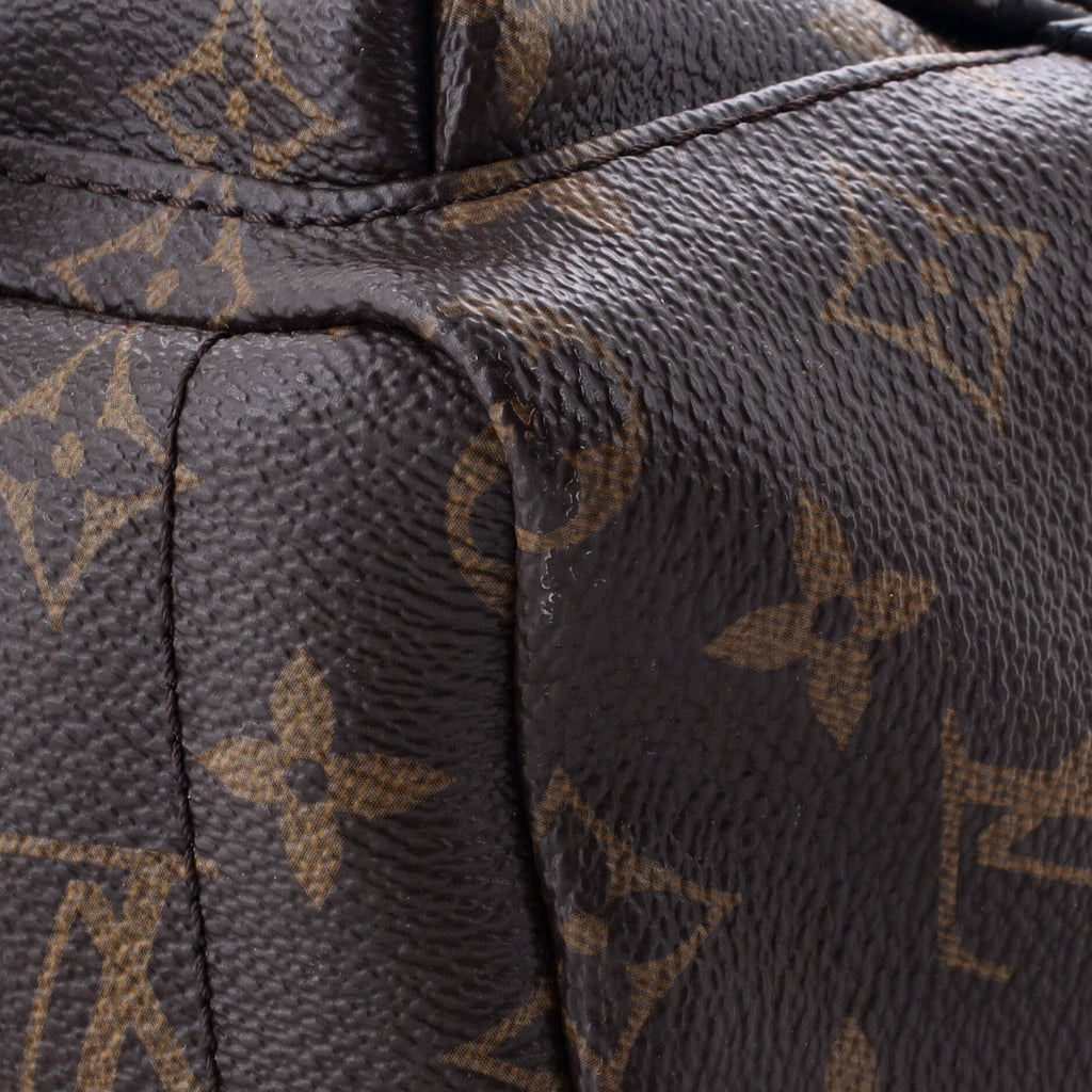 Louis Vuitton Palm Springs Backpack Monogram Canvas Mini