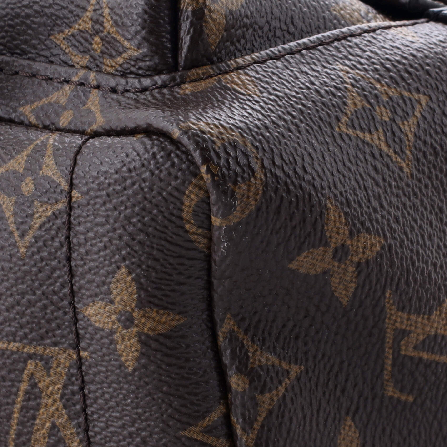 Louis Vuitton Palm Springs Backpack Monogram Canvas Mini