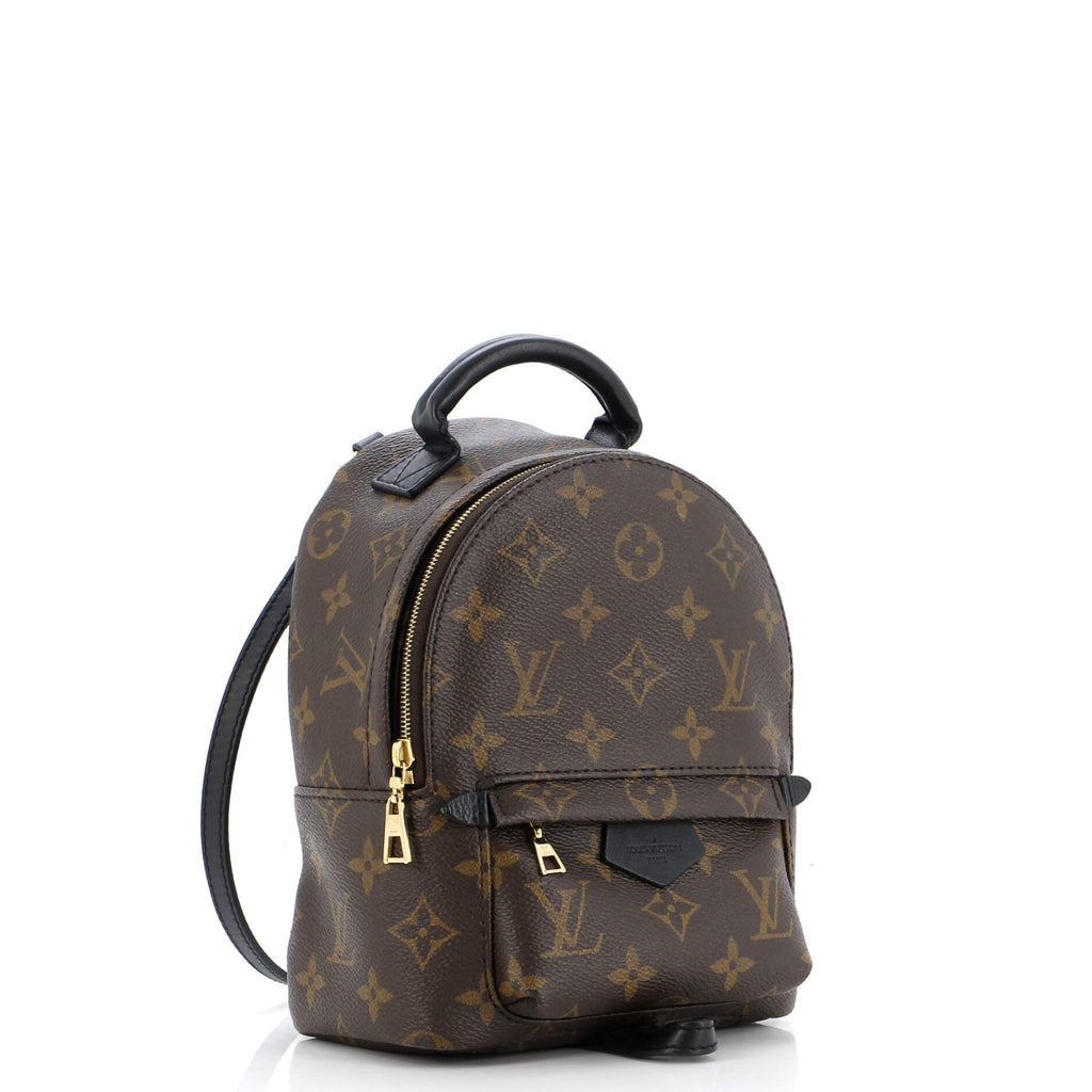 Louis Vuitton Palm Springs Backpack Monogram Canvas Mini