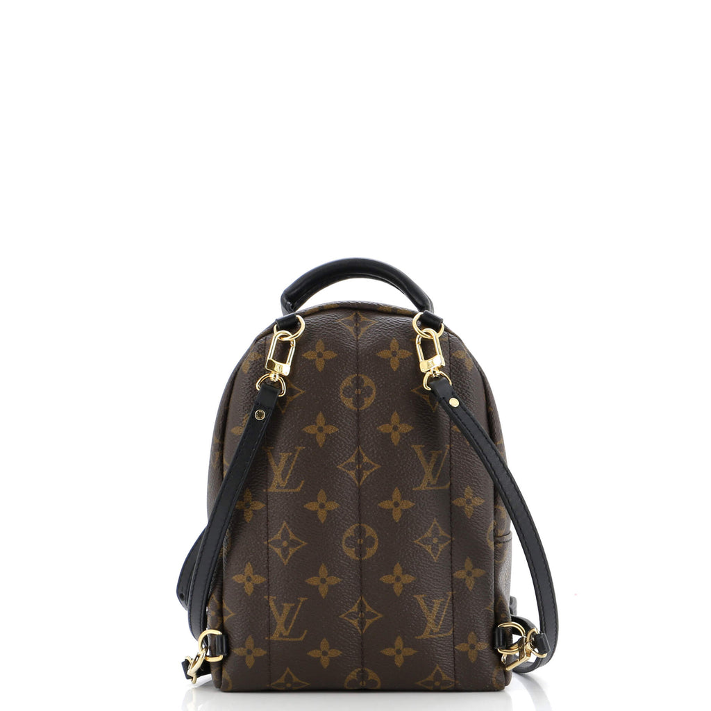 Louis Vuitton Palm Springs Backpack Monogram Canvas Mini