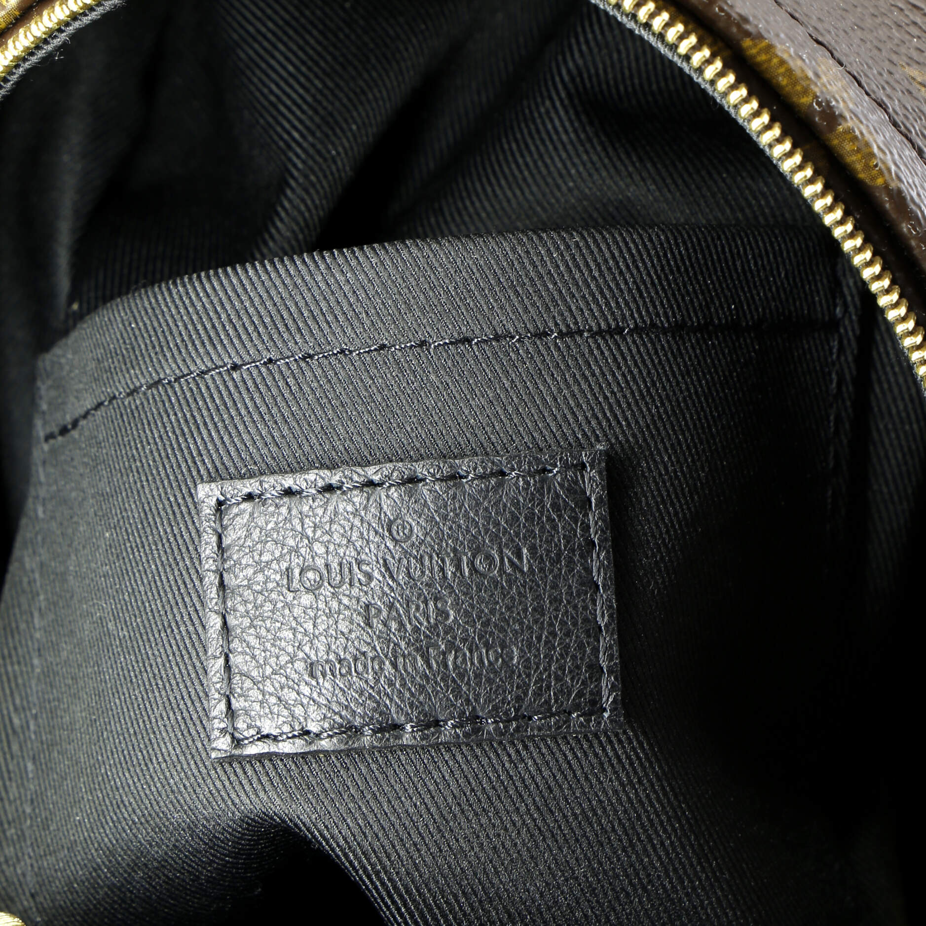 Louis Vuitton Palm Springs Backpack Monogram Canvas Mini