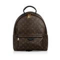 Louis Vuitton Palm Springs Backpack MM