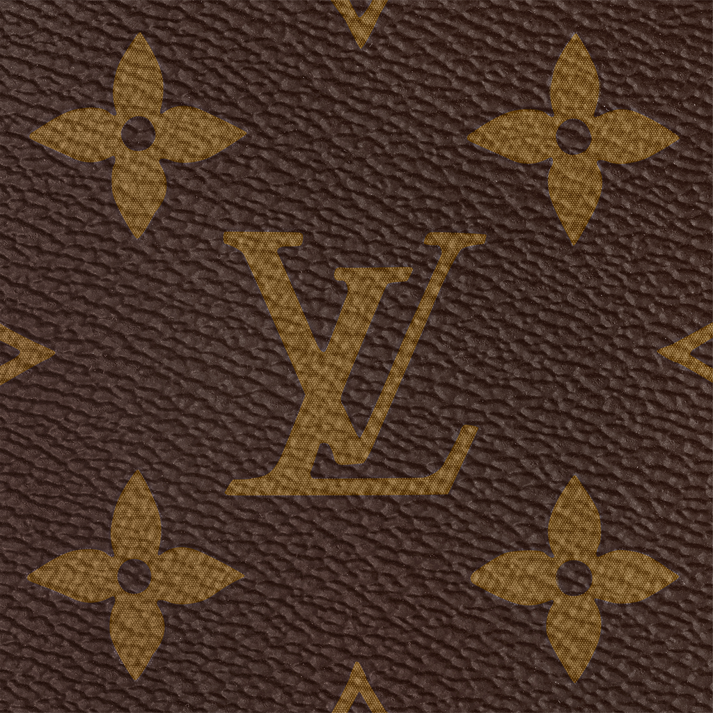 Louis Vuitton Speedy Bandoulière 20 Handbag -  Brown