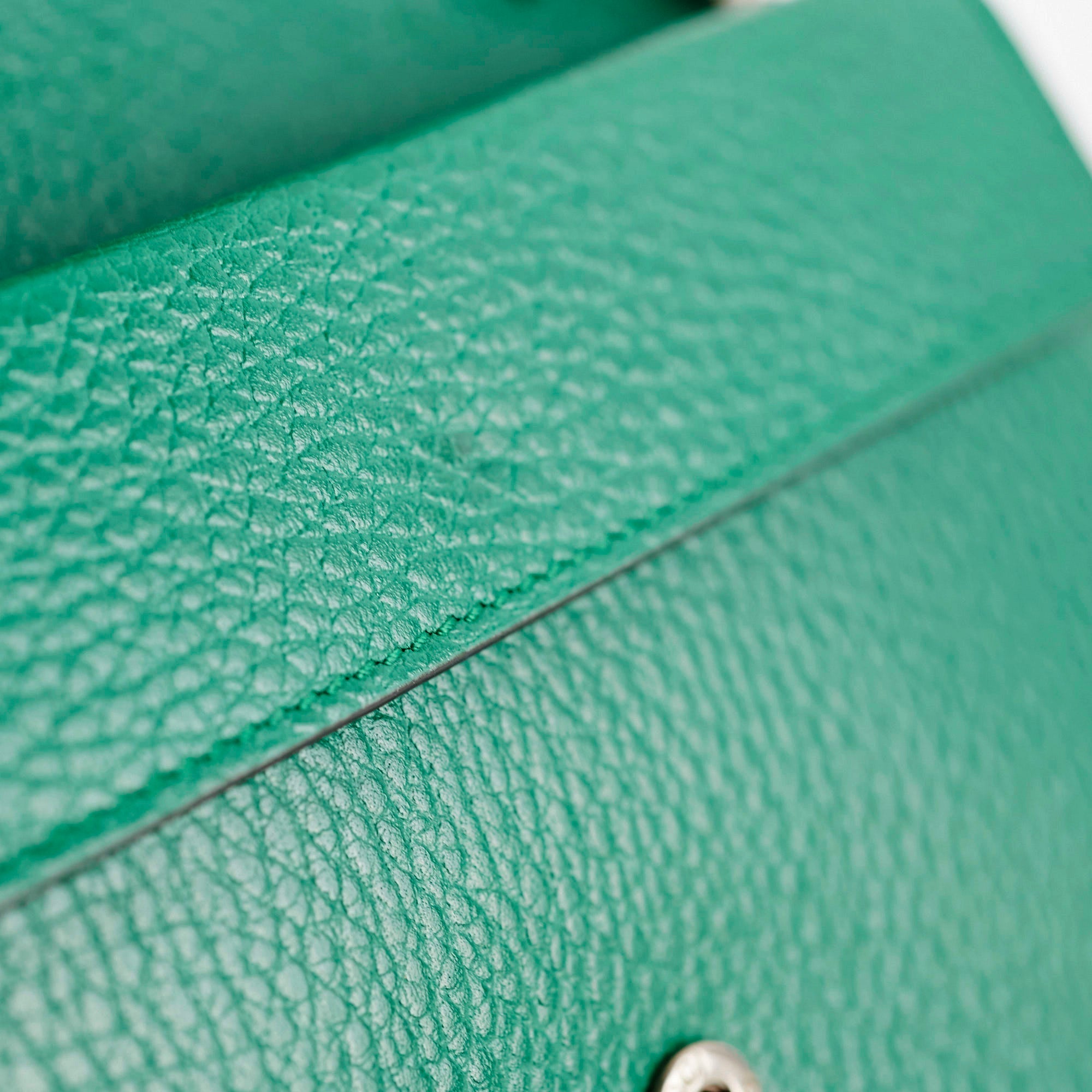 Gucci Dionysus Mini GG Supreme Green