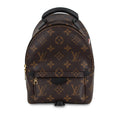 Louis Vuitton Palm Springs Backpack - Mini