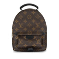 Louis Vuitton Palm Springs Backpack - Mini