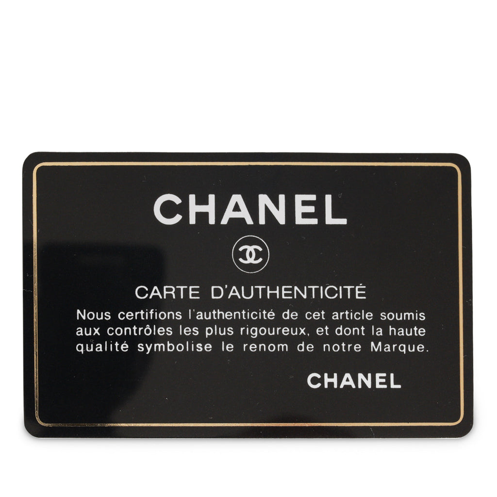 Chanel Box Clutch on Chain