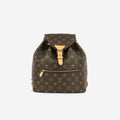 Louis Vuitton Montsouris Backpack - PM