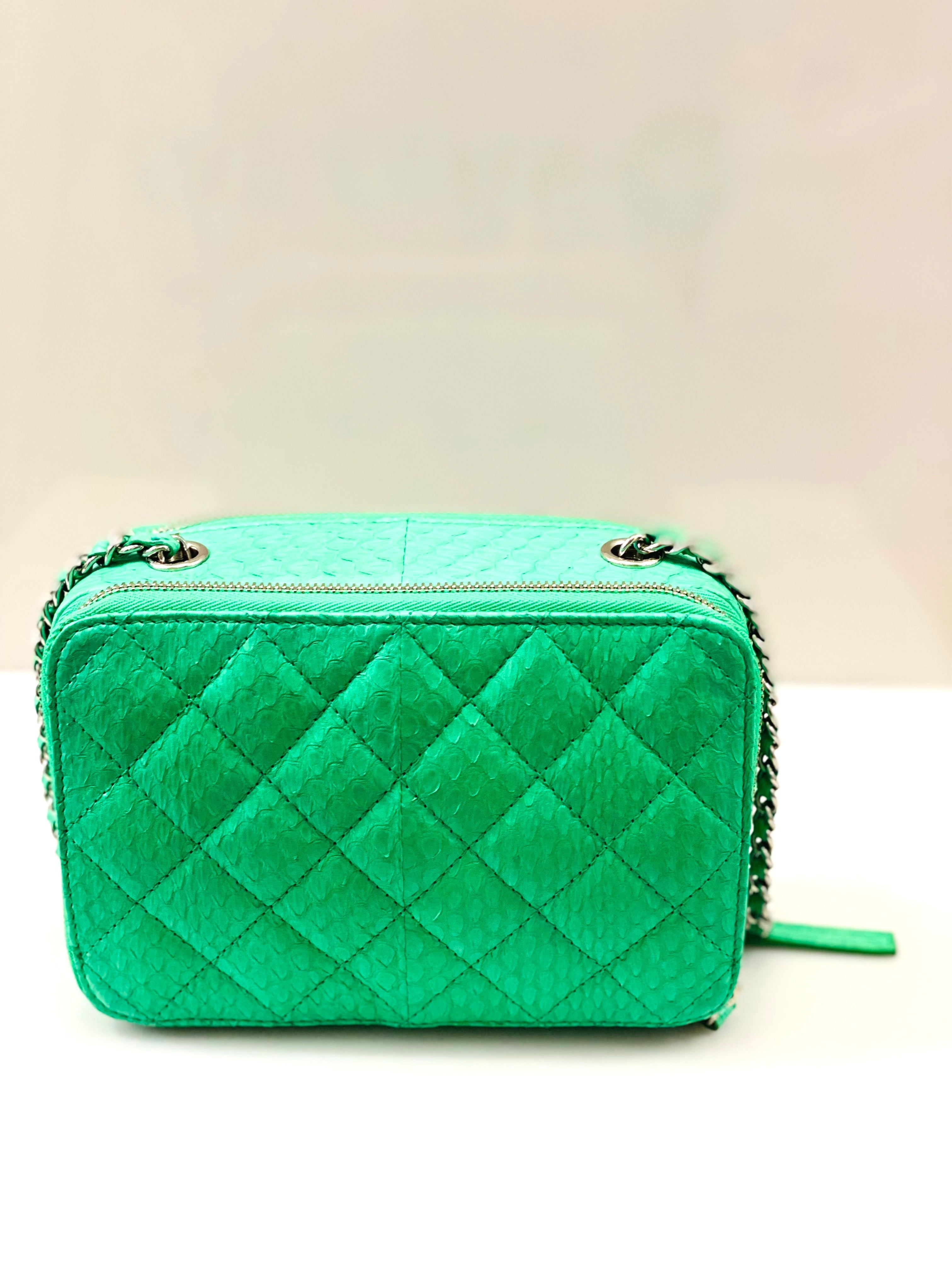 CHANEL DOUBLE ZIP SNAKESKIN EMBOSSED LEATHER SMALL CAMERA BAG
