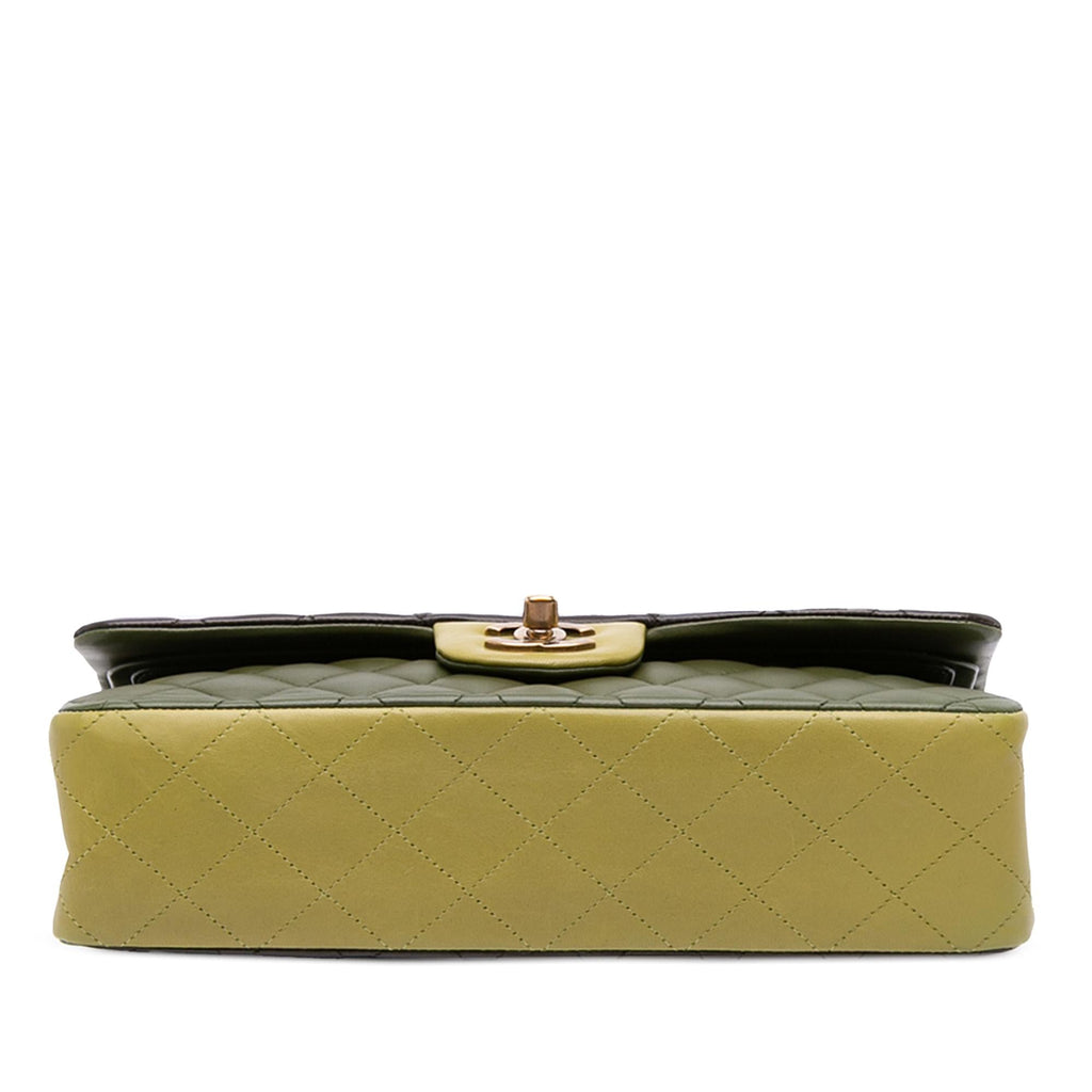 Chanel Medium Classic Tricolor Lambskin Double Flap