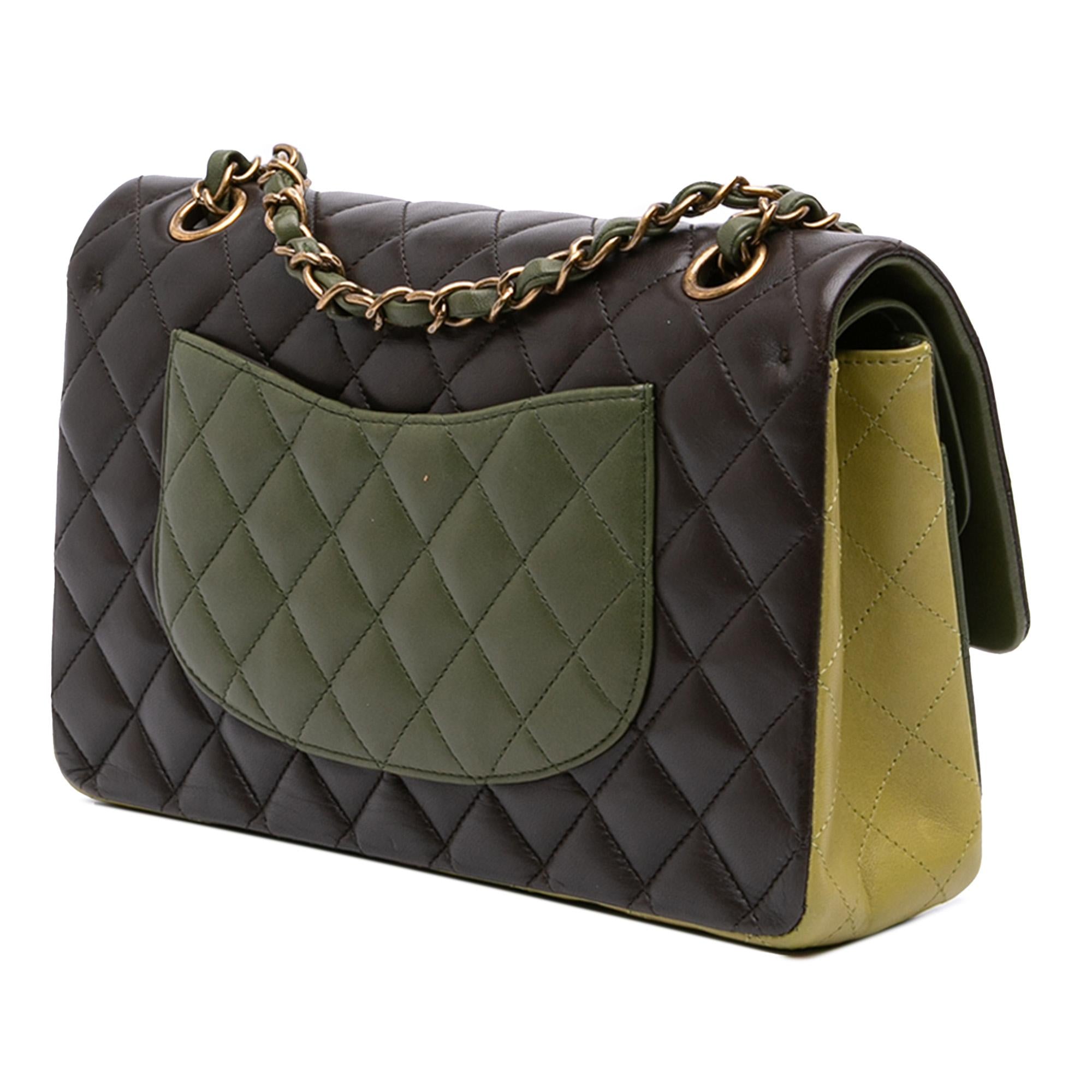 Chanel Medium Classic Tricolor Lambskin Double Flap