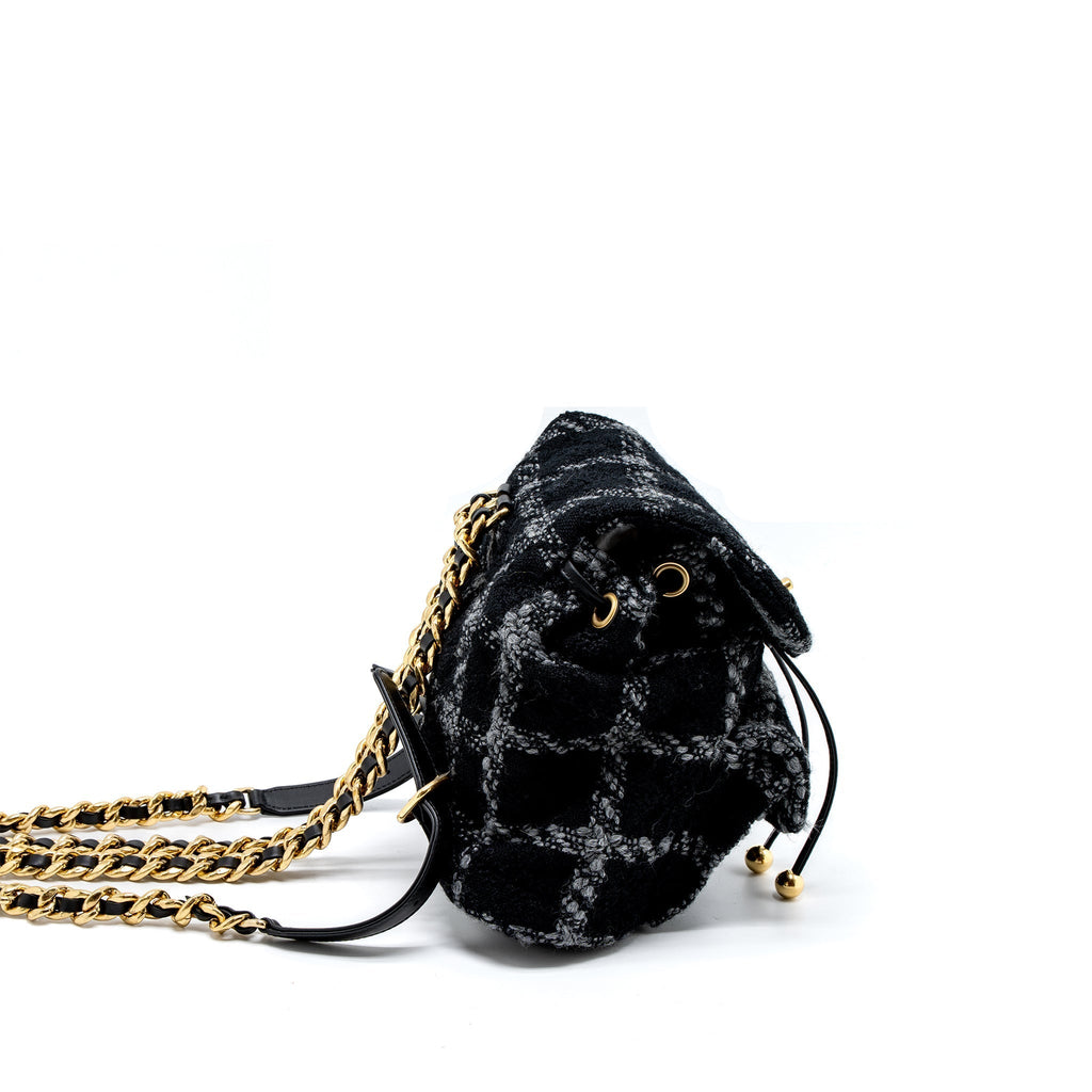 Chanel Duma Backpack Tweed Multicoloured Brushed  (Microchip)