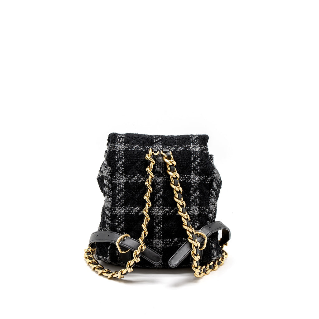 Chanel Duma Backpack Tweed Multicoloured Brushed  (Microchip)