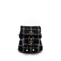 Chanel Duma Backpack Tweed Multicoloured Brushed  (Microchip)