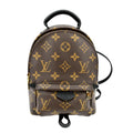 LOUIS VUITTON Palm Springs Mini Monogram Canvas Backpack Brown