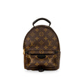 Louis Vuitton Palm Springs Backpack Mini