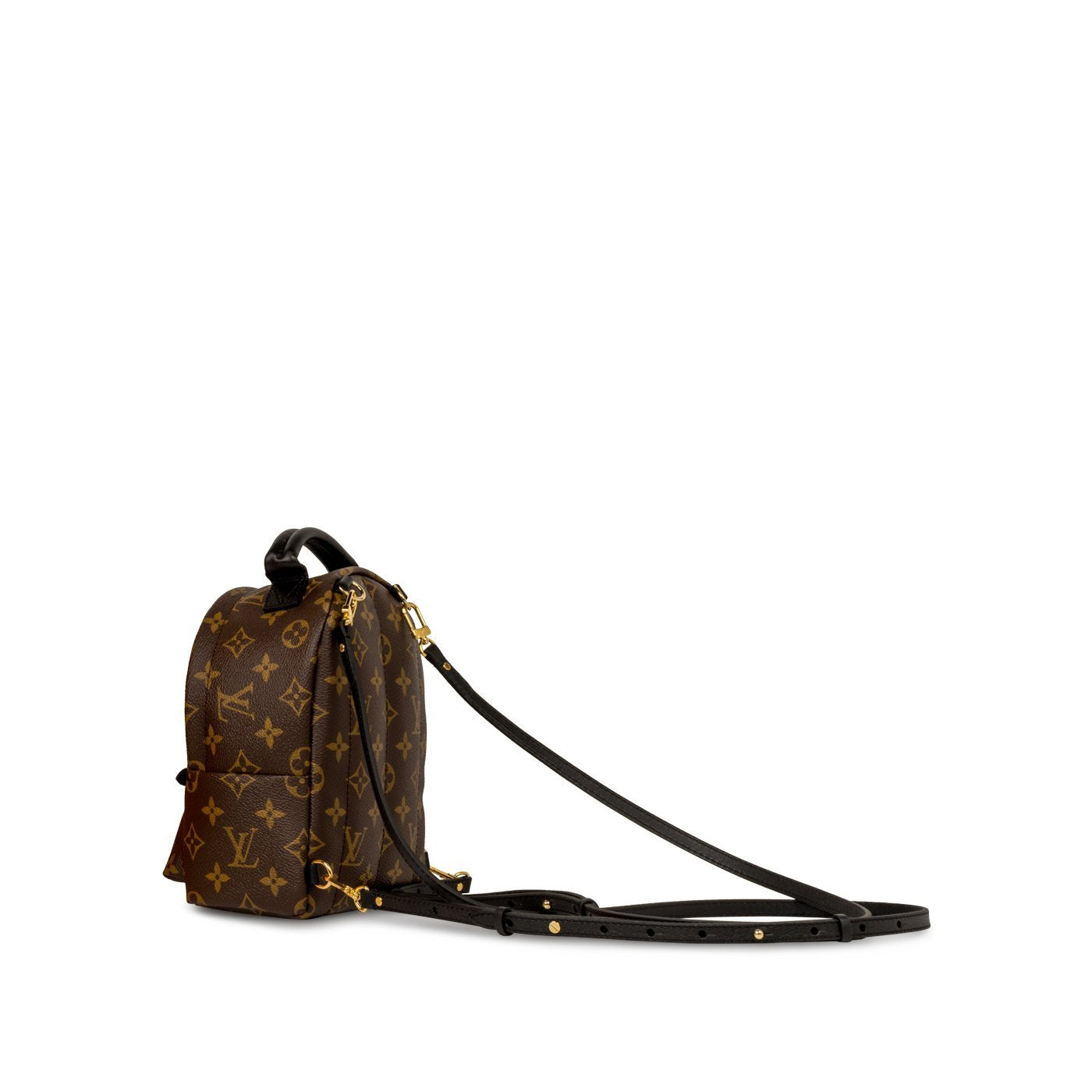Louis Vuitton Palm Springs Backpack Mini