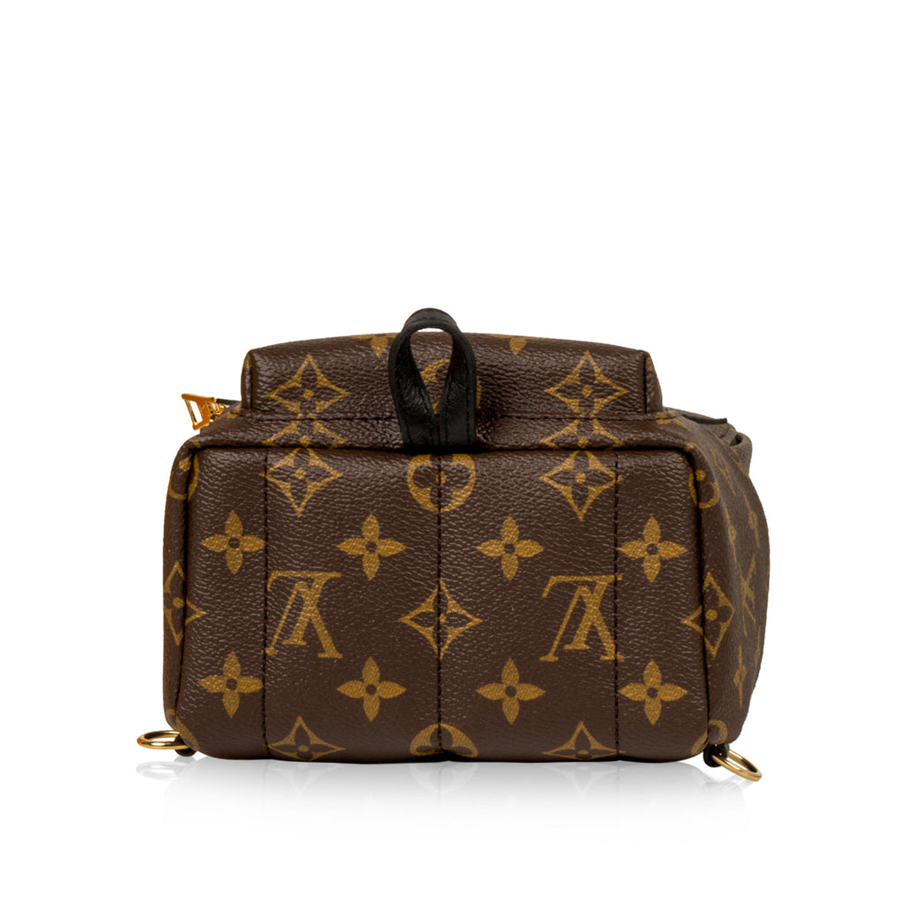 Louis Vuitton Palm Springs Backpack Mini - Monogram Canvas