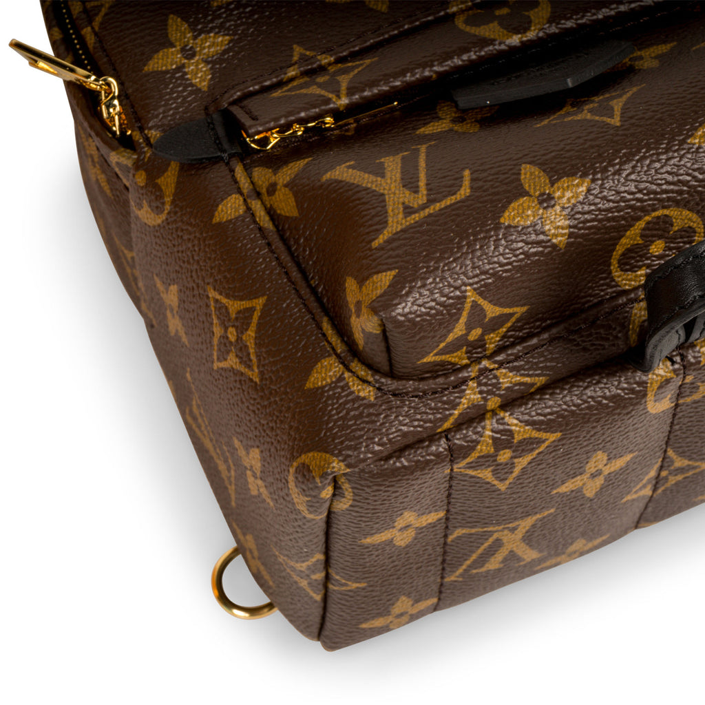 Louis Vuitton Palm Springs Backpack Mini