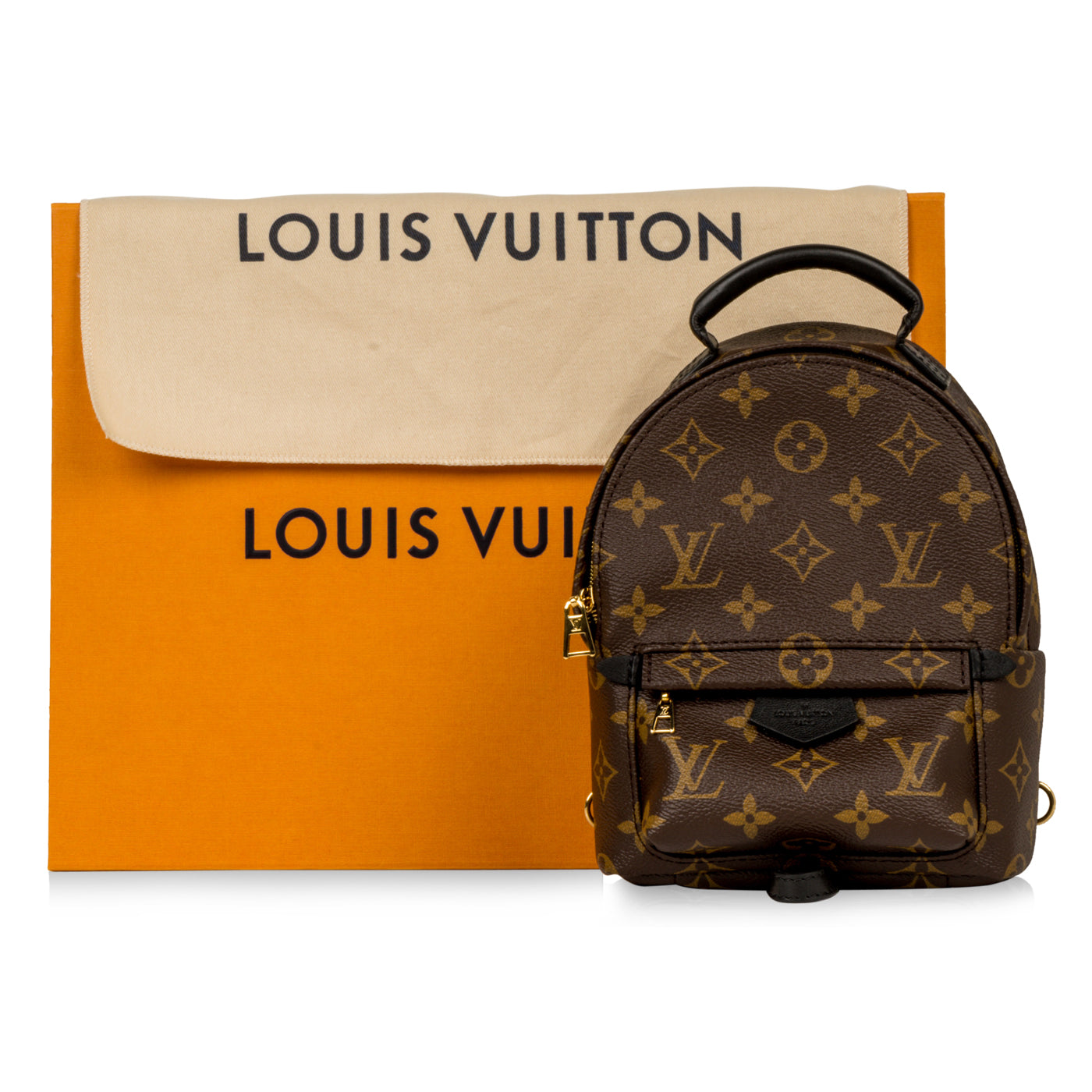 Louis Vuitton Palm Springs Backpack Mini - Monogram Canvas
