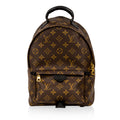 Louis Vuitton Palm Springs Backpack PM
