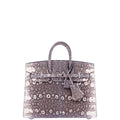 Hermès Birkin 20 Sellier Ombré Varanus Salvator Lizard Palladium Hardware