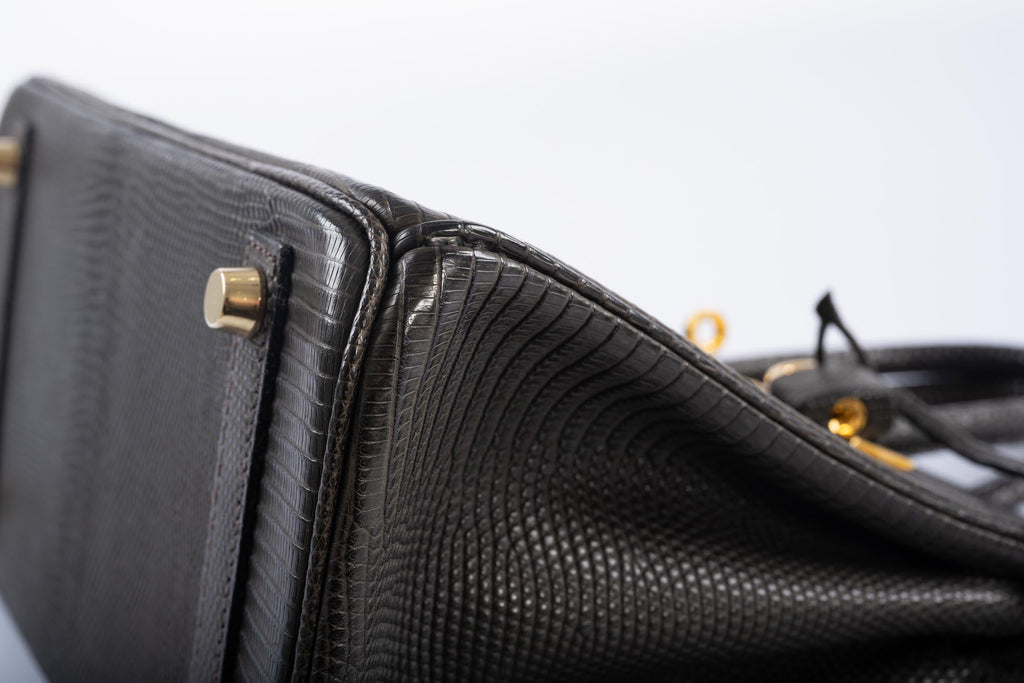 Hermès Birkin 25 Ebene Matte Salvator Lizard Gold Hardware
