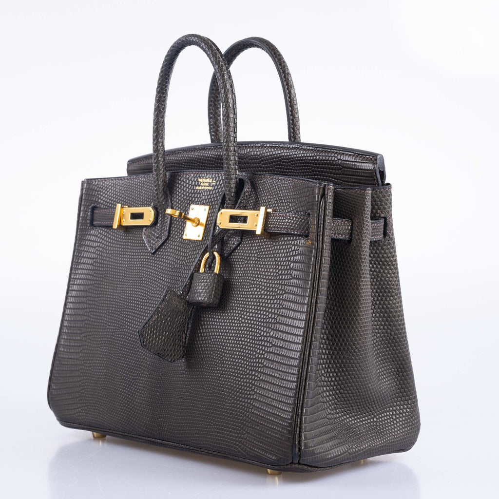Hermès Birkin 25 Ebene Matte Salvator Lizard Gold Hardware