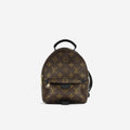 Louis Vuitton Mini Palm Springs Backpack