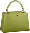 LOUIS VUITTON CAPUCINES MM LEATHER PARNASSÉA HANDBAG