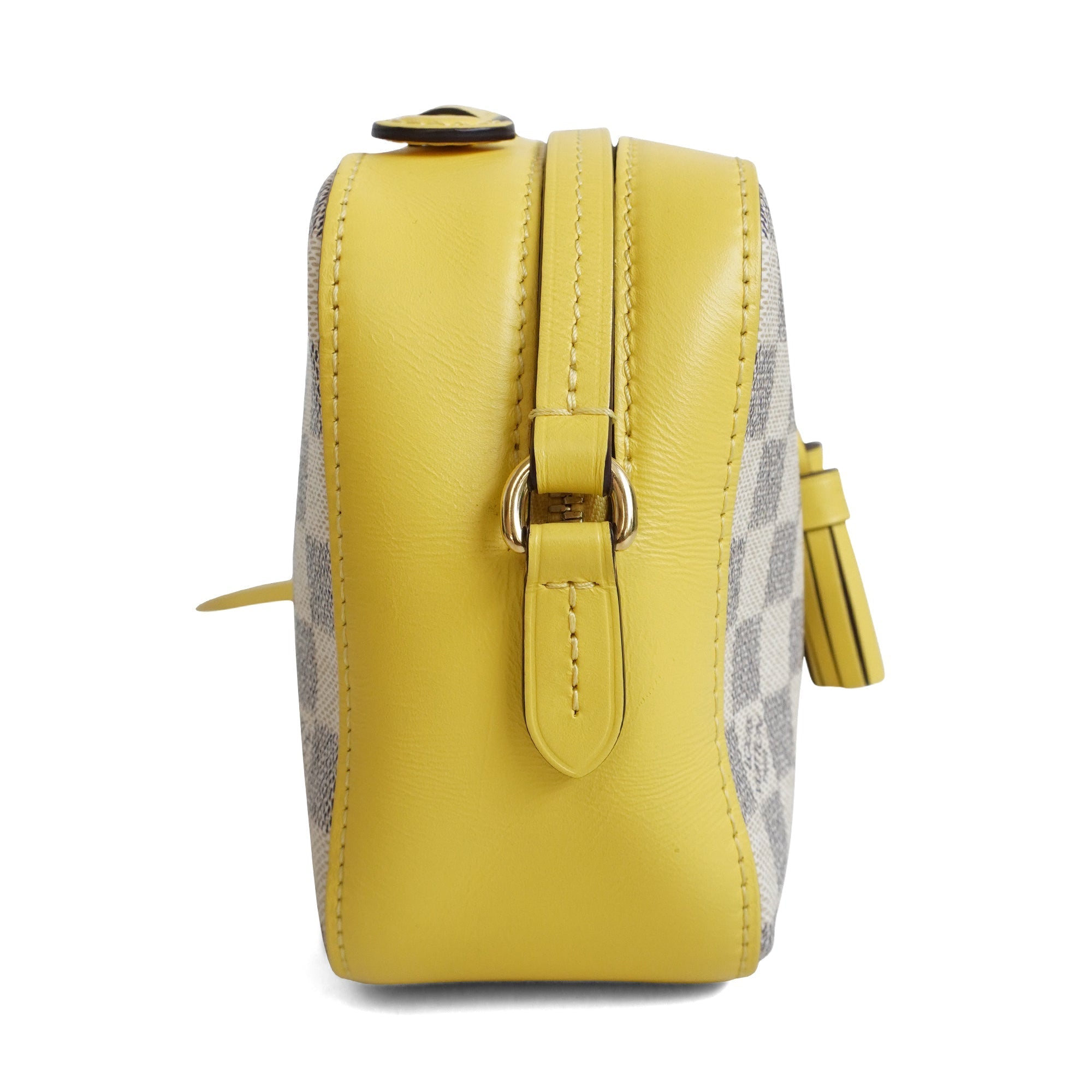 Louis Vuitton 'Saintonge' Bag