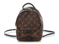 Louis Vuitton Mini Monogram Palm Springs Backpack