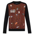 LOUIS VUITTON X GRACE CODDINGTON CATOGRAM SWEATER