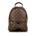 Louis Vuitton Palm Springs Backpack PM