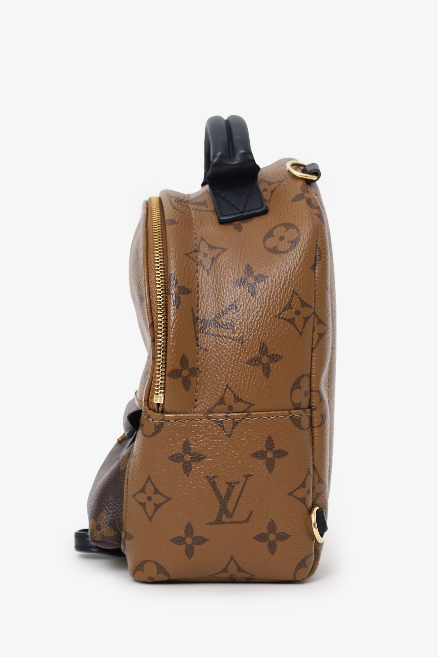 Louis Vuitton 2019 Reverse Monogram 'Palm Springs' Mini Backpack