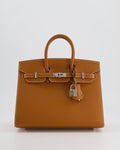 Hermès Birkin 25 Sellier Bag in Toffee Epsom Leather with Palladium Hardware
